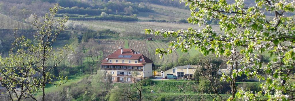 Pension Rudi - Weingut Kellner Hotel Pulkau Exterior foto