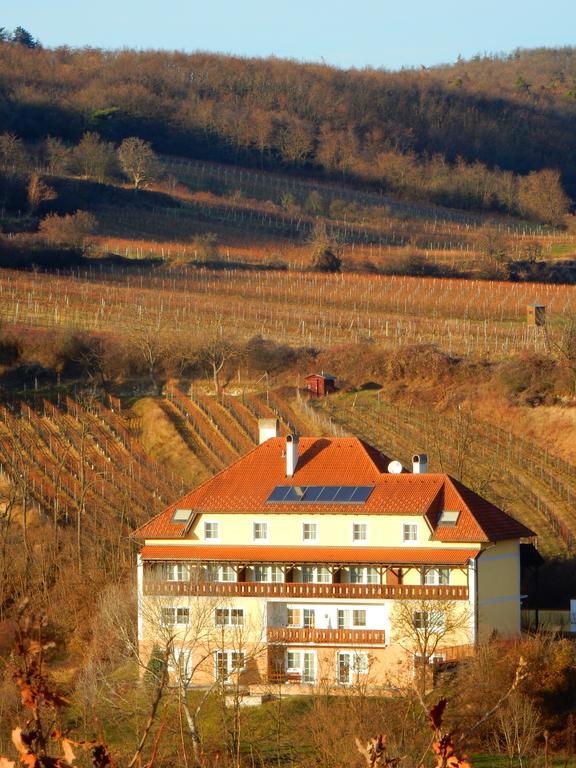 Pension Rudi - Weingut Kellner Hotel Pulkau Exterior foto